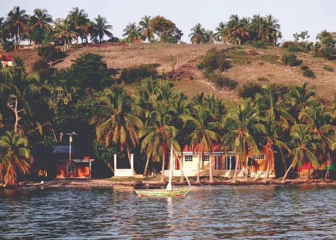 Maisons, palmiers et bateau sur le littoral